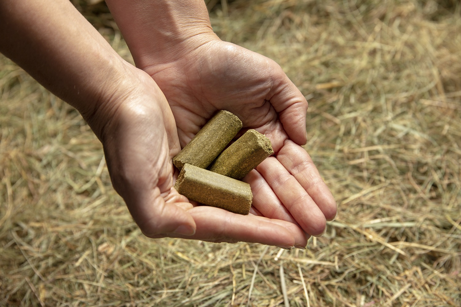 Meadow Herb Glucosamine Treats SPILLERS Feeds